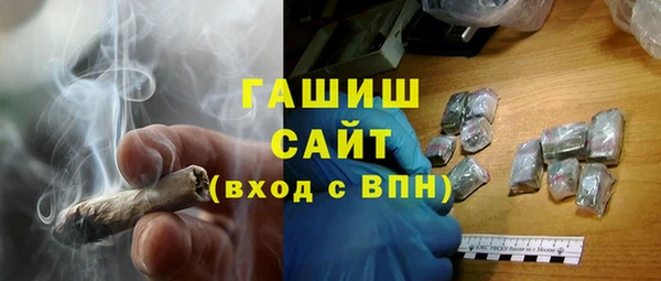 гидра Абаза