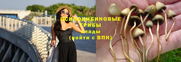 хмурый Абинск