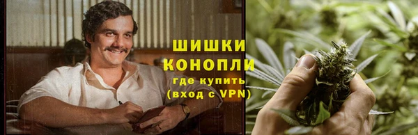 гидра Абаза