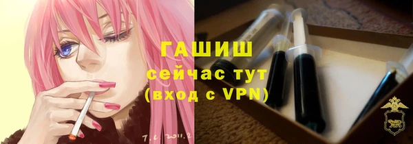 гидра Абаза