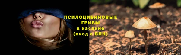 хмурый Абинск
