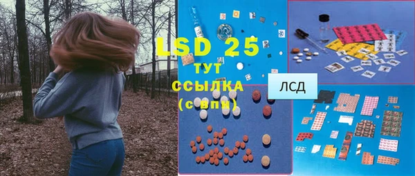 сатива Россошь