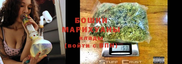 гидра Абаза