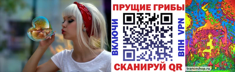 MEGA ССЫЛКА  даркнет сайт  Карабаново  Галлюциногенные грибы ЛСД 
